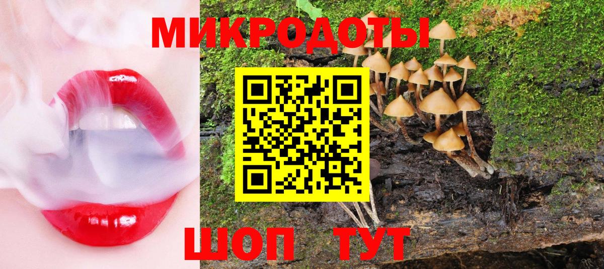 Псилоцибиновые грибы Psilocybine cubensis  Вход с VPN  Галлюциногенные грибы ЛСД  Мурманск 
