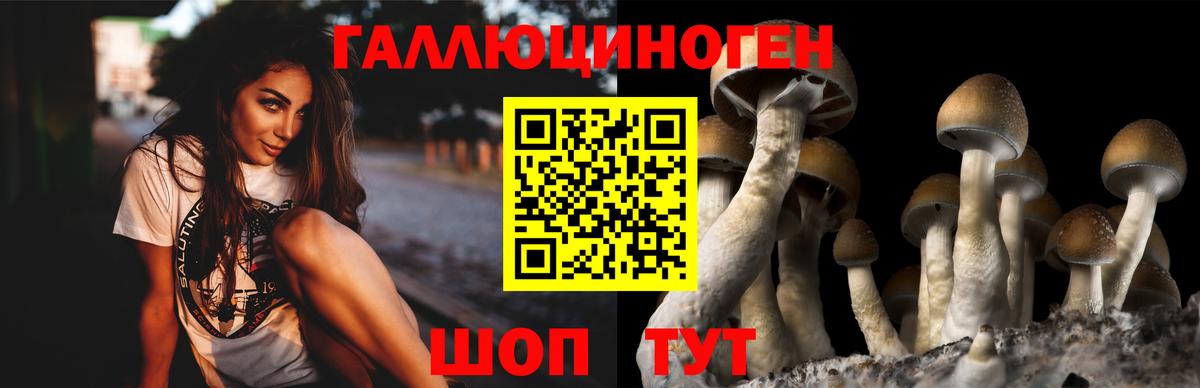 Псилоцибиновые грибы Magic Shrooms Мурманск