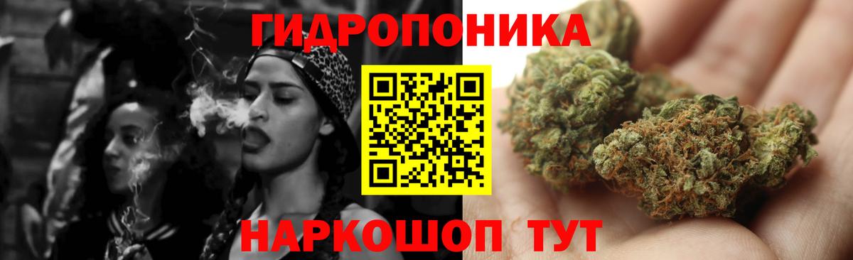 Каннабис план  Вход с VPN  Бошки марихуана THC 21%  Шишки марихуана сатива  Канабис AK-47  Мурманск 